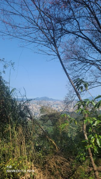 2025-0211造鎮_太極嶺_五城山小段攀爬路線2710731