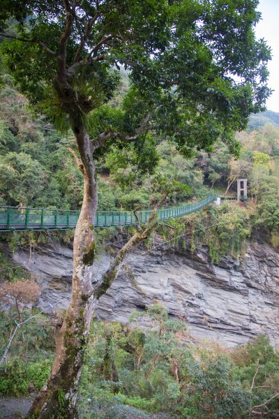 【花蓮】瓦拉米步道春遊823355