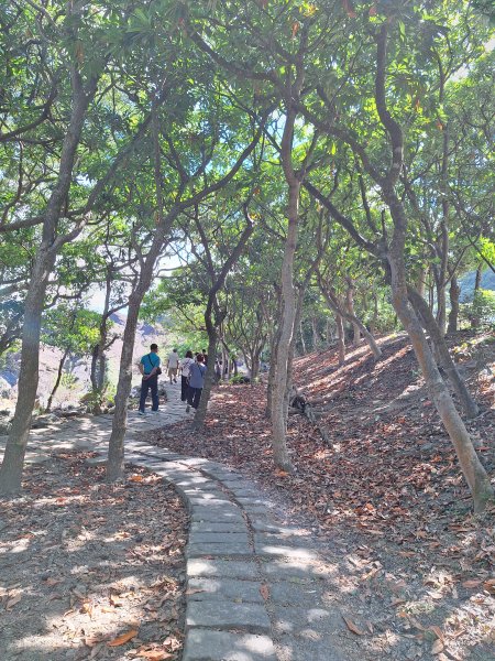 北關海潮公園202508312877138