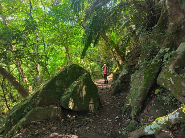 小東河上大龍山2247136