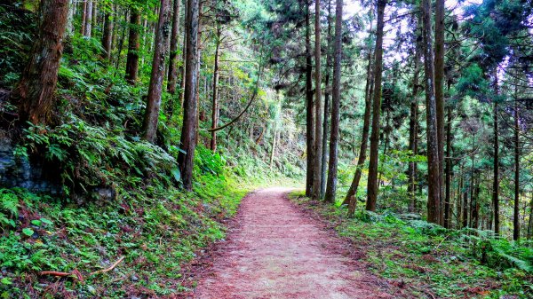 油羅山(一上三下)2959206