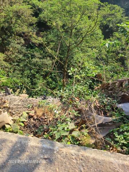 松柏坑山小百岳2729148