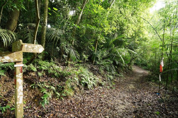 苗栗 大湖 金童山、玉女山、汶水山2806913