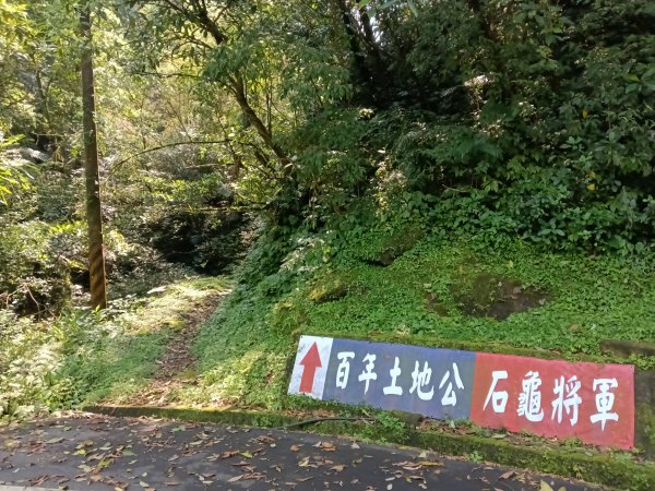 平溪區大華車站-乾坑古道石龜將軍-平湖西步道-番子坑山-平湖大厝-十分車站3037258