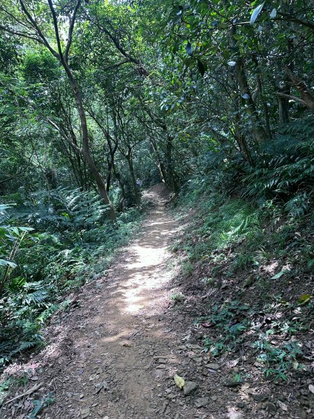 大棟山系第一段、第二段一起走2857260