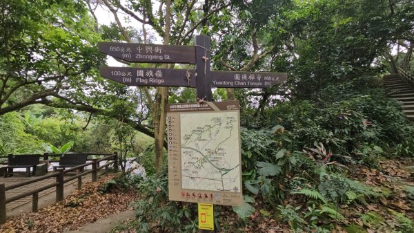 圓通寺烘爐地登山步道大O走3007118