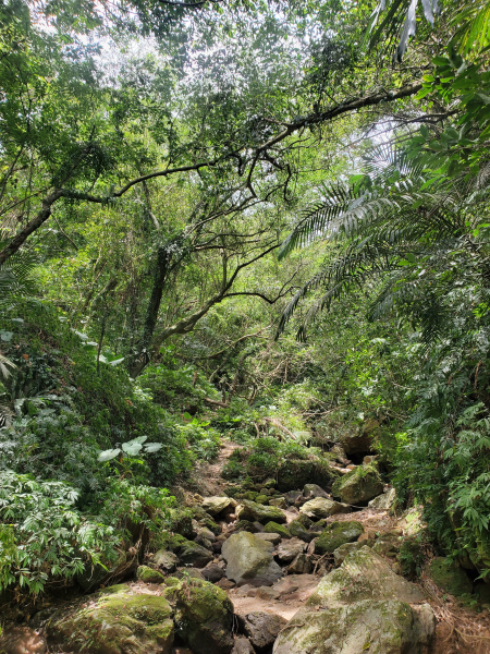 玉田古道，北八斗山，神主嶺U走