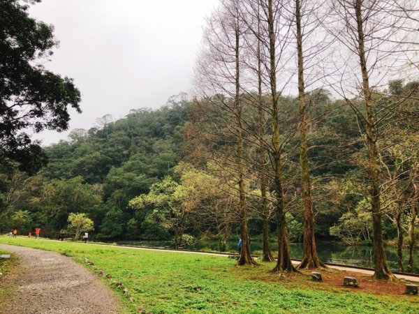 福山植物園511008