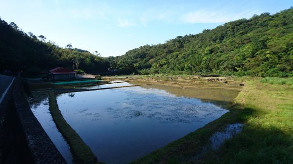 桃源谷大溪線 2017/04/29143034
