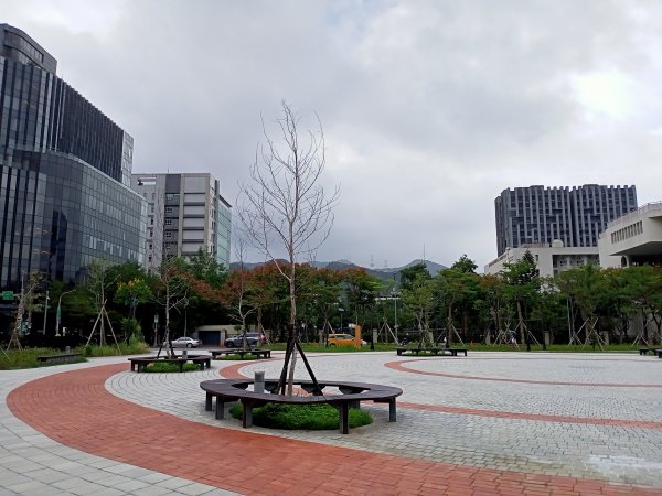 內湖大港墘公園、文德三號公園【走路趣尋寶，全臺齊步走】1882048