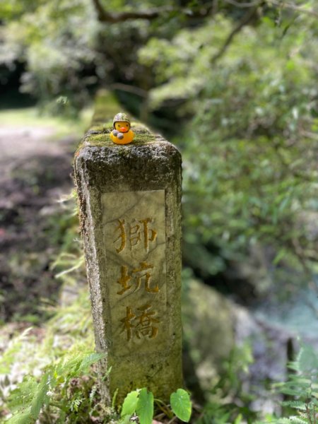 烏來阿玉溪山/西坑林道/探勘派出護管所彈藥庫遺址至獅坑橋2582020