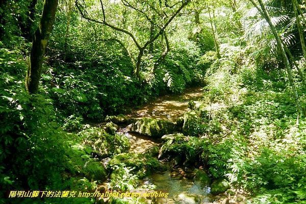 【新北市】幼坑古道-魚寮山-幼坑山-幼坑鞍-幼坑崙-粗坑百年土地公