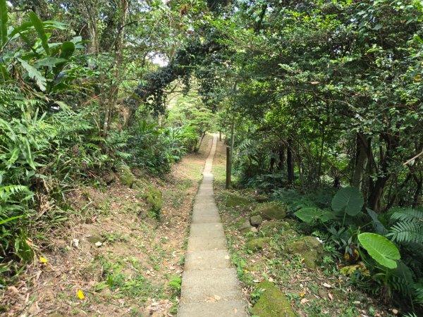 桃園石門山（小百岳）2910051