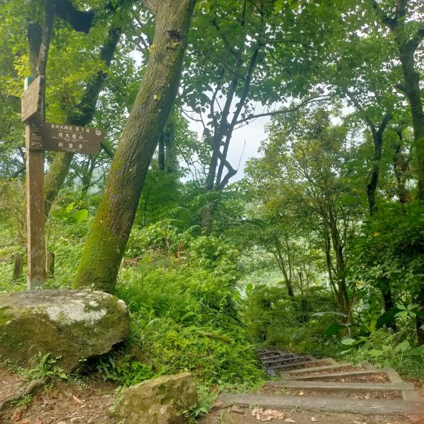 臺北大縱走第七段：世界山莊至飛龍步道2810229