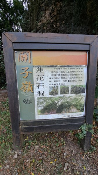 20241219 關子嶺枕頭山2675376