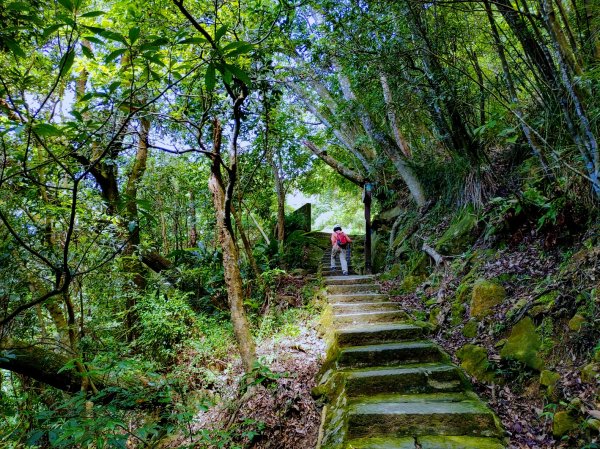 七夕情人節步道：內湖白石湖同心池1075000