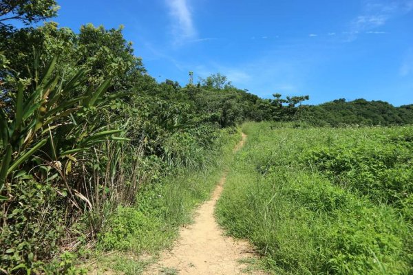 〔石碇〕鱷魚島🐊🐊🐊，晴空萬里下的萌萌淡碇鱷   最美。石碇 千島湖 土虱頭  永安景觀步道2213355