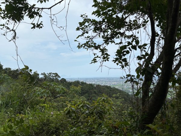 20250523 冬山-中山步道2795309