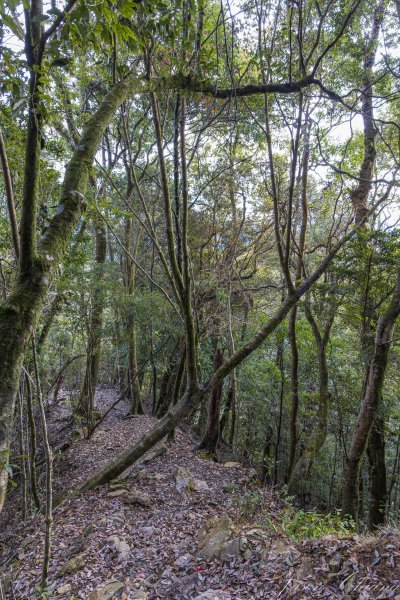 谷關七雄_屋我尾山2977019