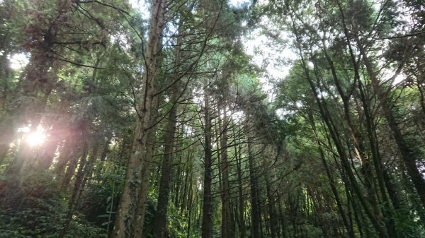 馬拉邦山上湖登山口O型走1069006