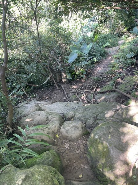 【鳶山山系】鳶山彩壁2858072