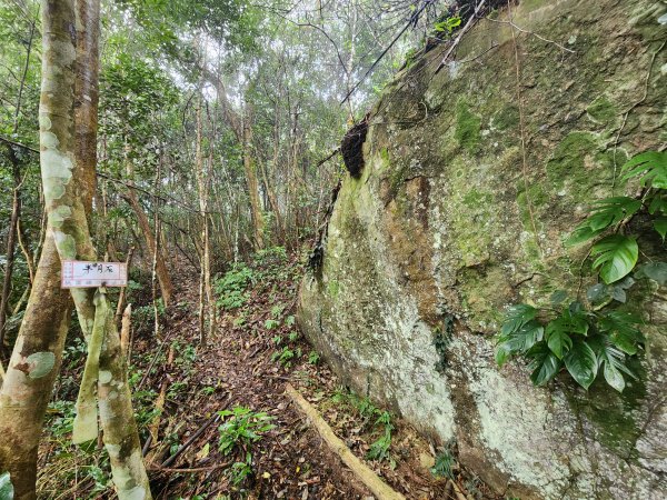 20241208上坪登五指山2683664