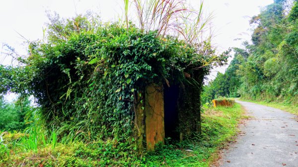 油羅山(一上三下)2959215