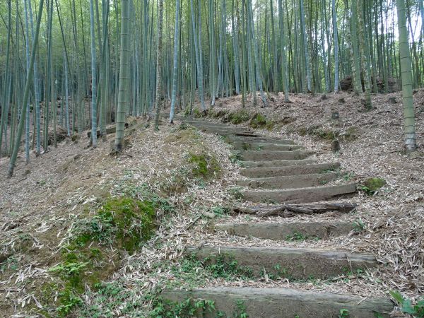 雲林古坑-嘉南雲峰及石壁山295537