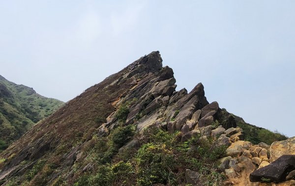 步步驚險 處處絕景 險與美的融合象限 郊山之王劍龍稜2081986