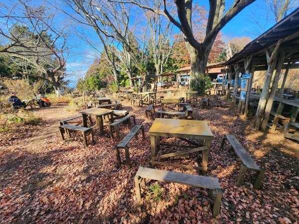 20251127陣馬山至高尾山2959089