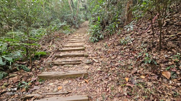 20260127三通嶺山.三義山(大桁茂山).慈濟山.大坪山大O走2989901