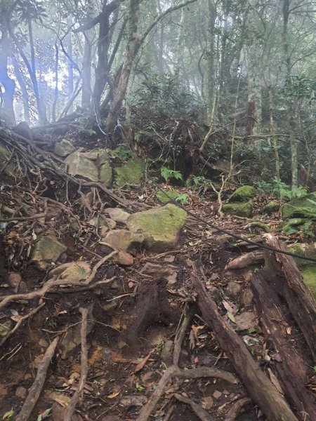 帶黏土人千明爬加里山2319472