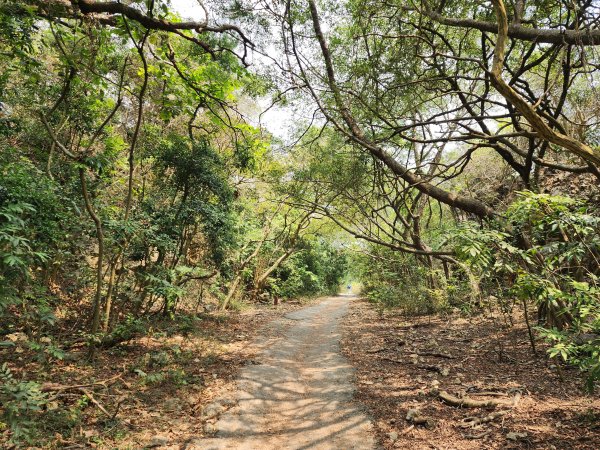 小百岳No.77⛰壽山3025160