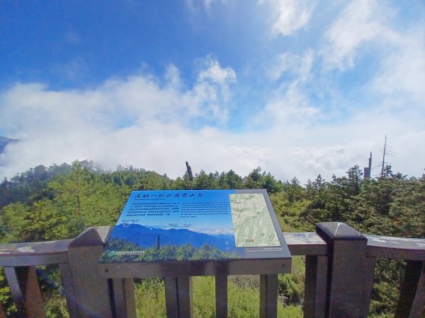 【台中和平】大雪山啞口觀景台步道2933084
