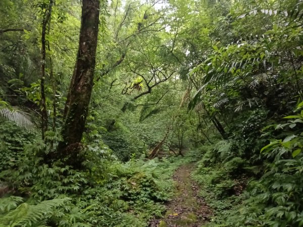 平溪區善覺寺古道(步道)去回2855366
