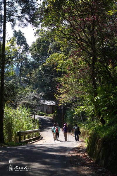 苗栗南庄-向天湖山步道1313953