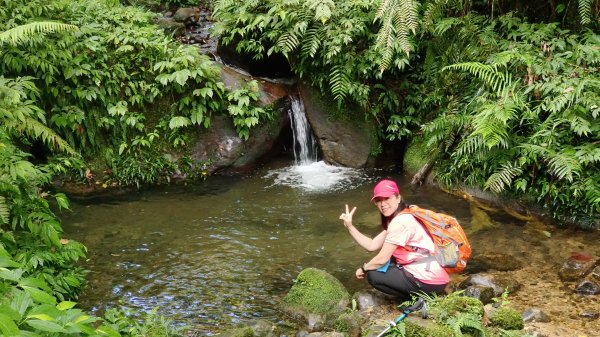 (姨婆趴趴走)第十四集:新竹關西油井窩山、彩和山、高甫山縱走2206434