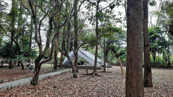 《南投》河岸賞鳥｜竹山下坪步道及自然教育園區O繞202302252042176