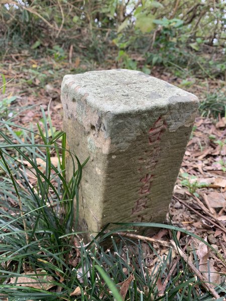 20250127屏東坪埔厝山-草山-南湖呂山西峰-南湖呂山2705090