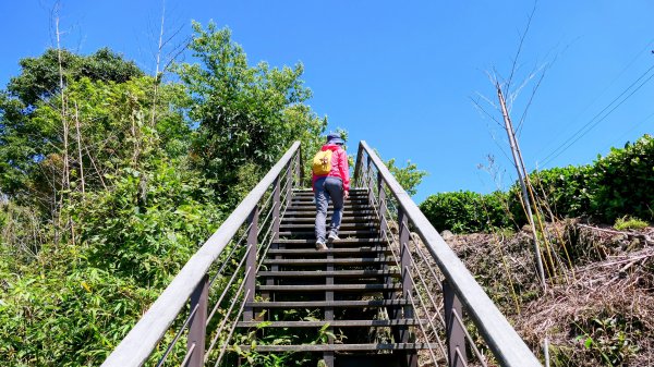 二延平步道。貿易戰2764949