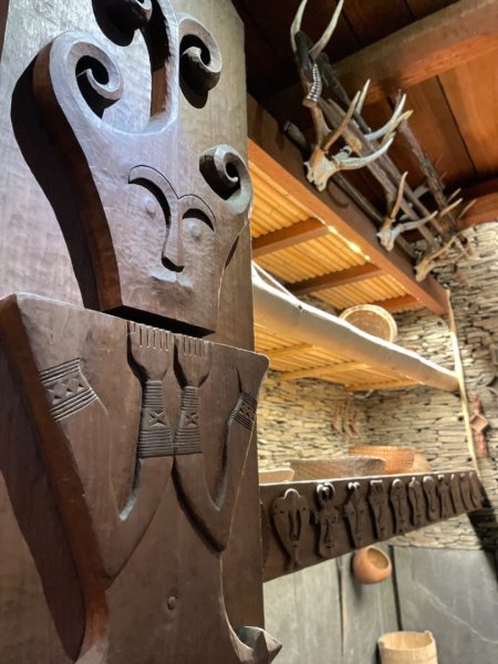 雨天備案💙 台灣博物館的古生代館-台大動植物館免費參觀-北投♨️季2799066