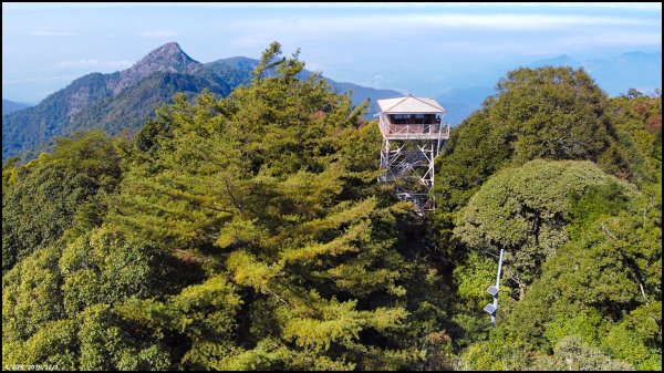 冷了天、紅了葉 ~ 一年一會、稍來賞楓765407