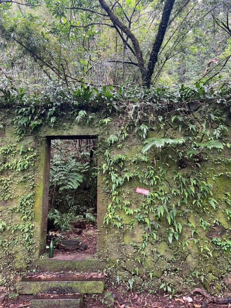 2025-01232淡蘭古道北二段(燦光寮古道到澳底)2696708