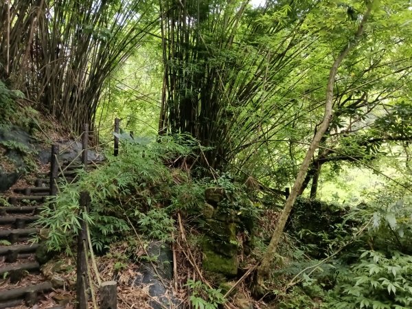 基隆市荖寮坑古道+十分古道(暖東舊道)+頂子寮山(嶺頭土地公)P字走2821503