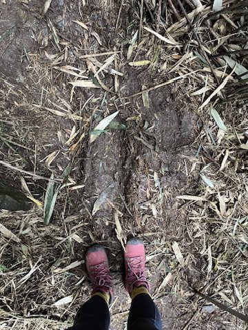 20250228小觀音山小小y2755471