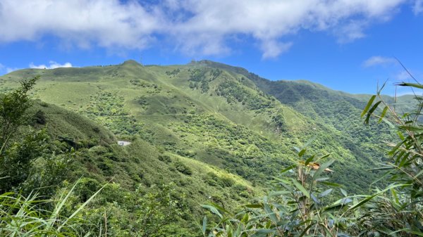 環七星山人車分道步道 – 百拉卡公路入口站至冷水坑段2165168