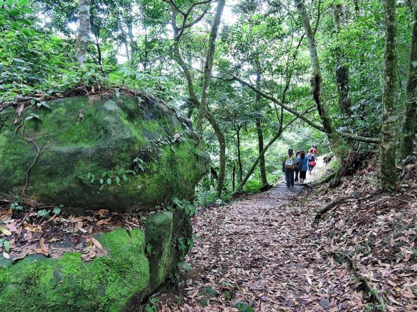 小百岳#37～馬那邦山 976651