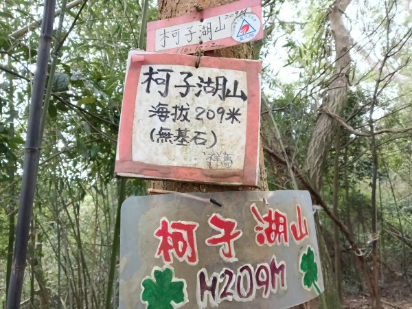 竹東鎮柯子湖山福隆步道稜線路+腰繞路P字走