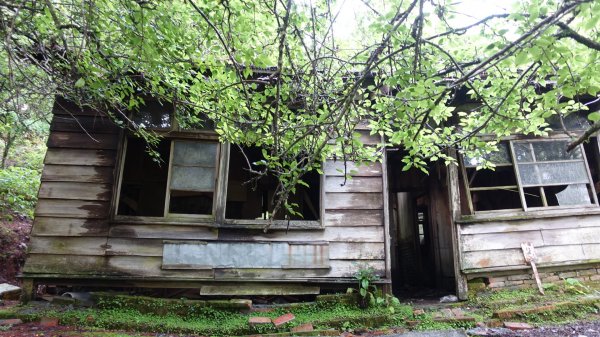 雙龍林道上巒安堂西巒大山1778659