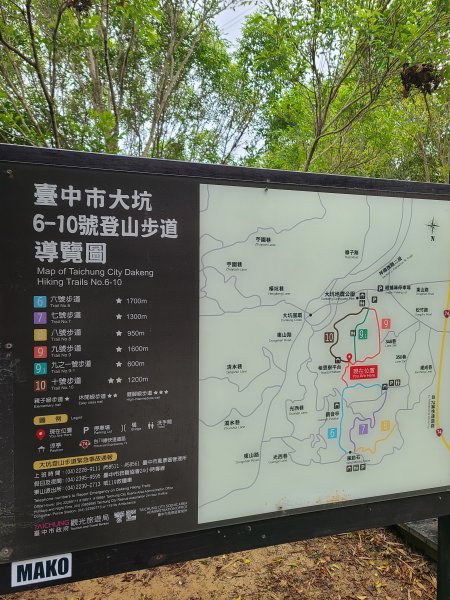 大坑10號提前修好啦(10號上+6號+7號下)2753644